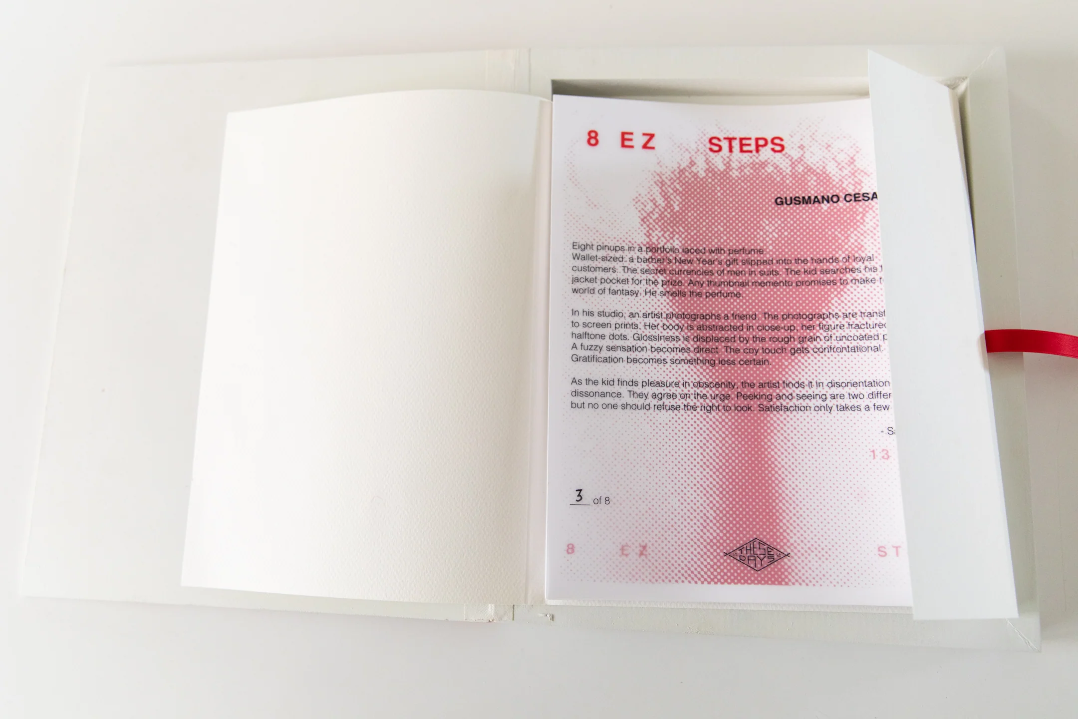 8 EZ STEPS | Limited Edition Portfolio - Image 5