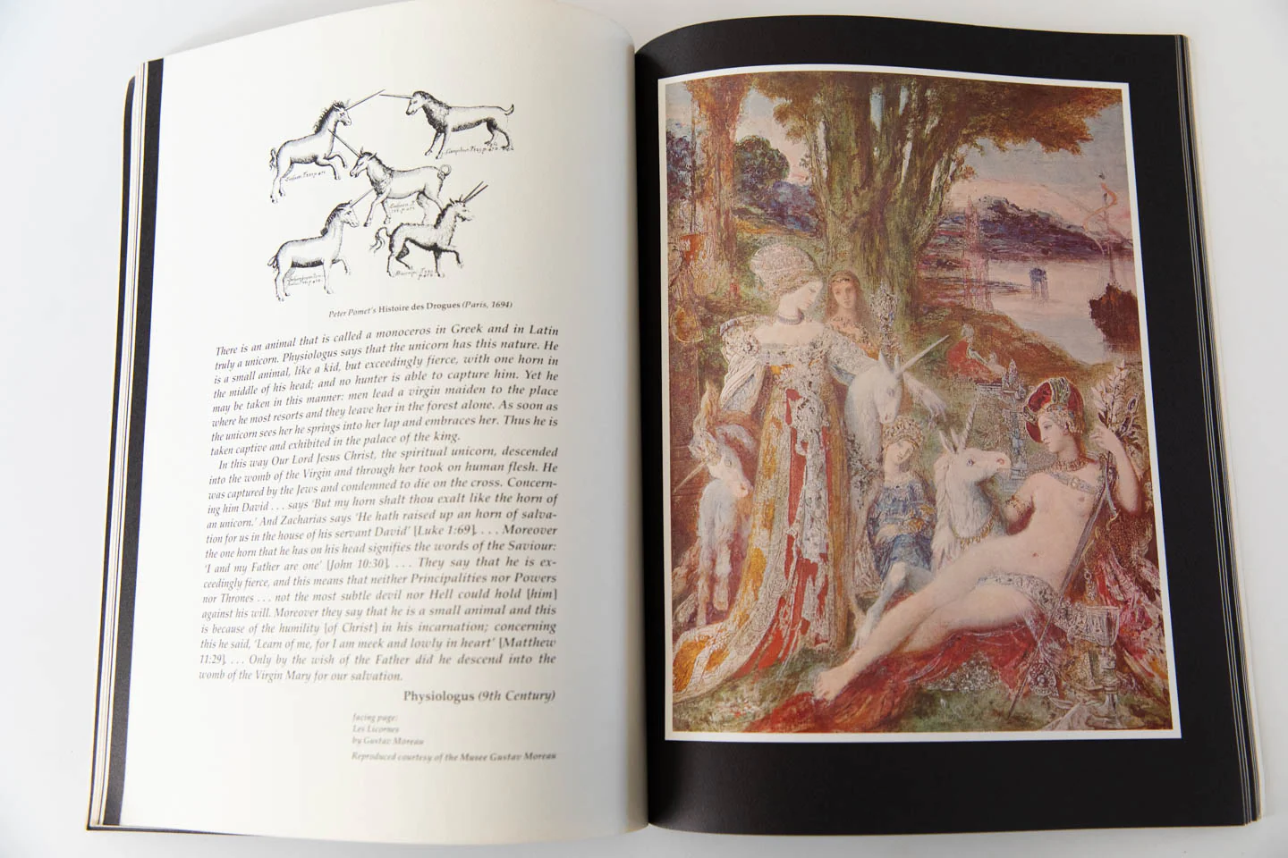 A BOOK OF UNICORNS - Image 6