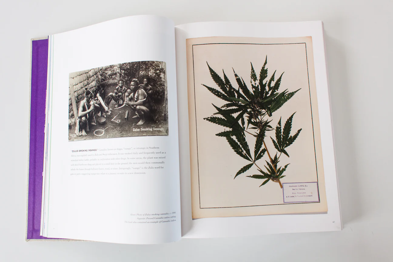 ALTERED STATES | The Library of Julio Santo Domingo - Image 6