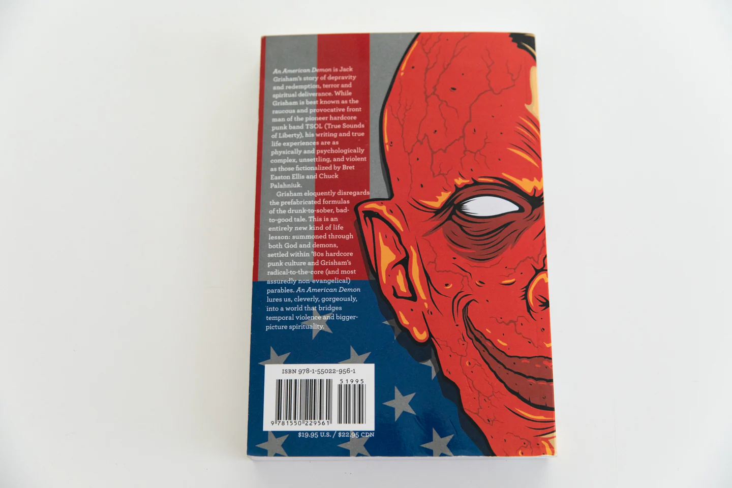 AN AMERICAN DEMON - Image 5