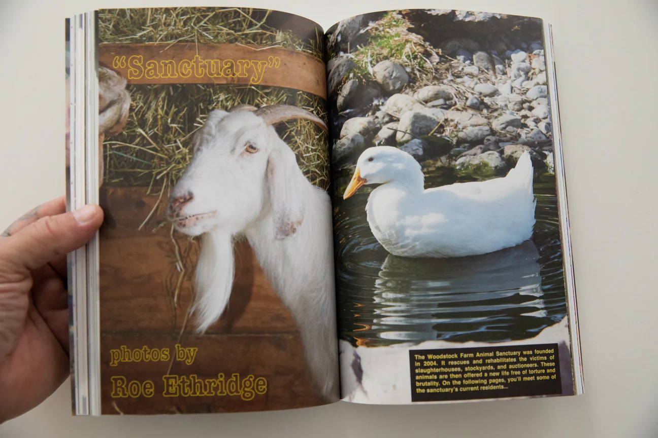 APOLOGY MAGAZINE | Issue 4 Fall 2015 - Image 8