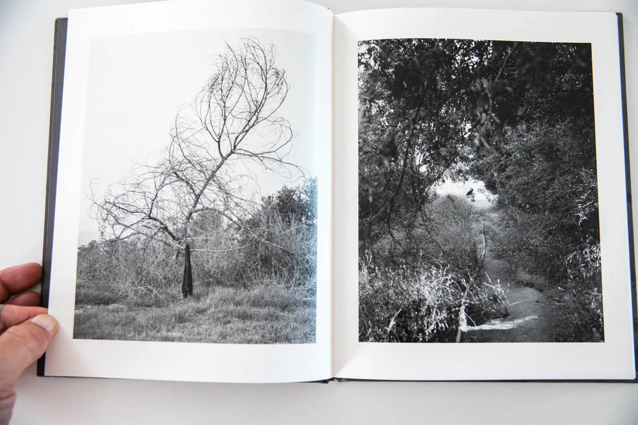 ARBOREAL - Image 4