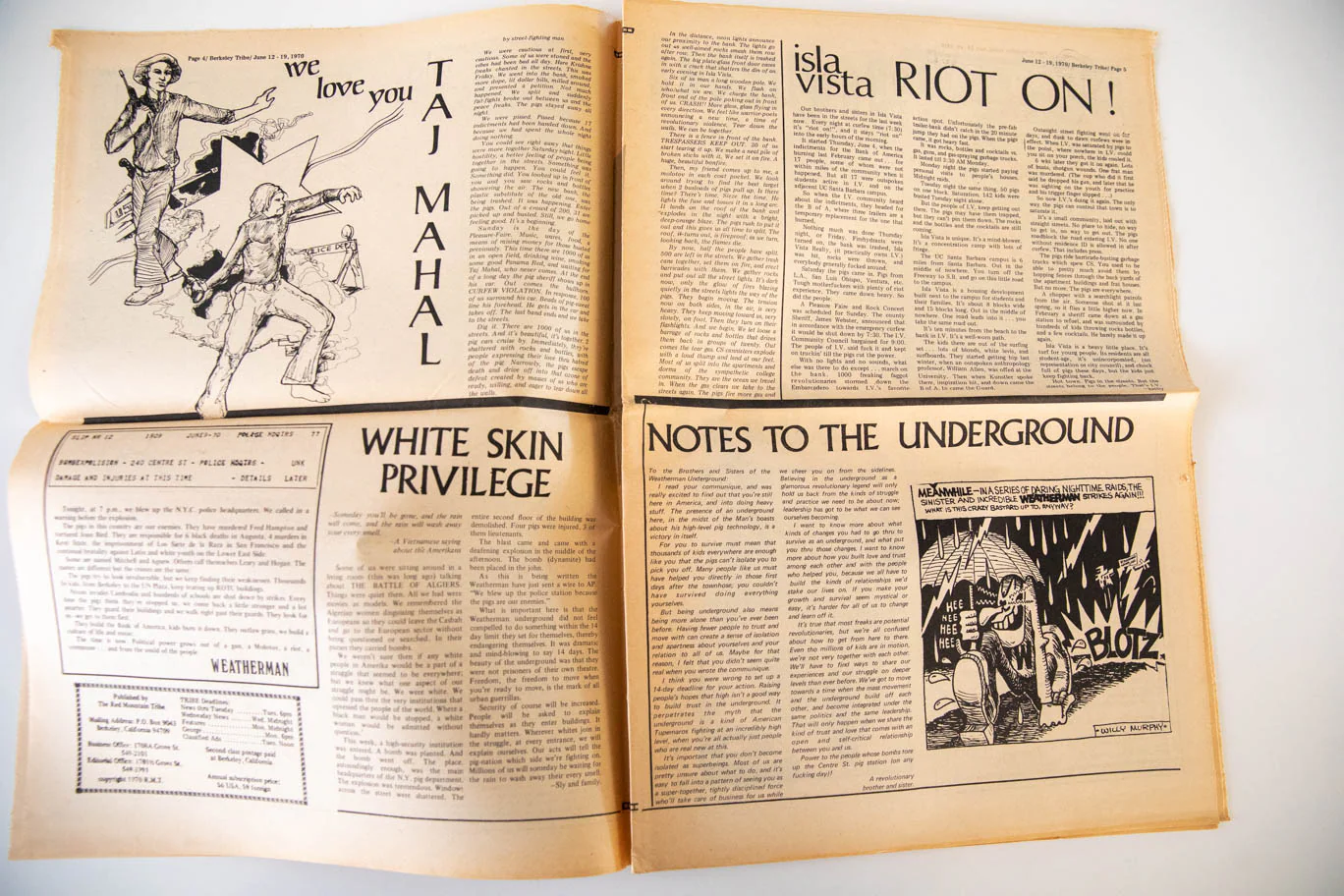 BERKELEY TRIBE Vol. 2 No. 3 Issue 49 - Image 3