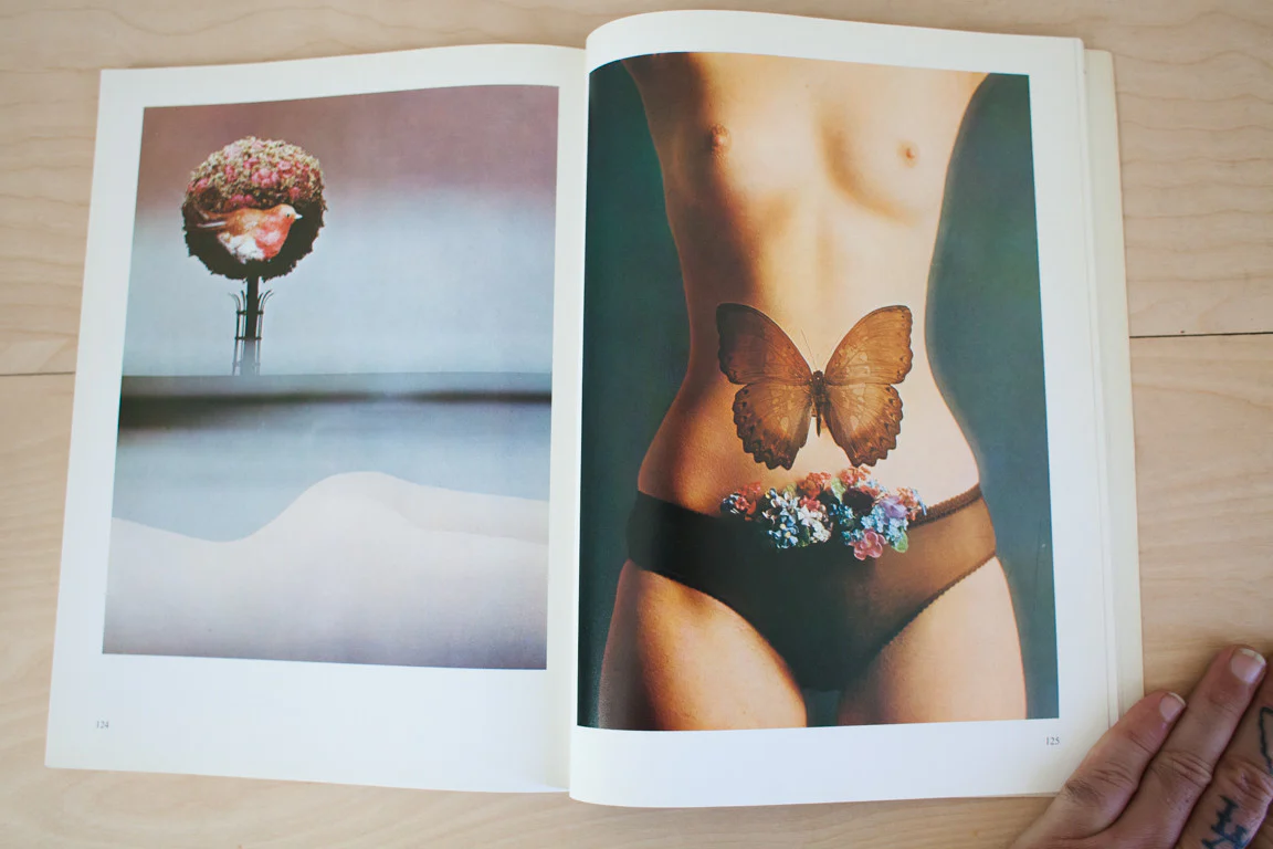 Calendar Girls - Image 3