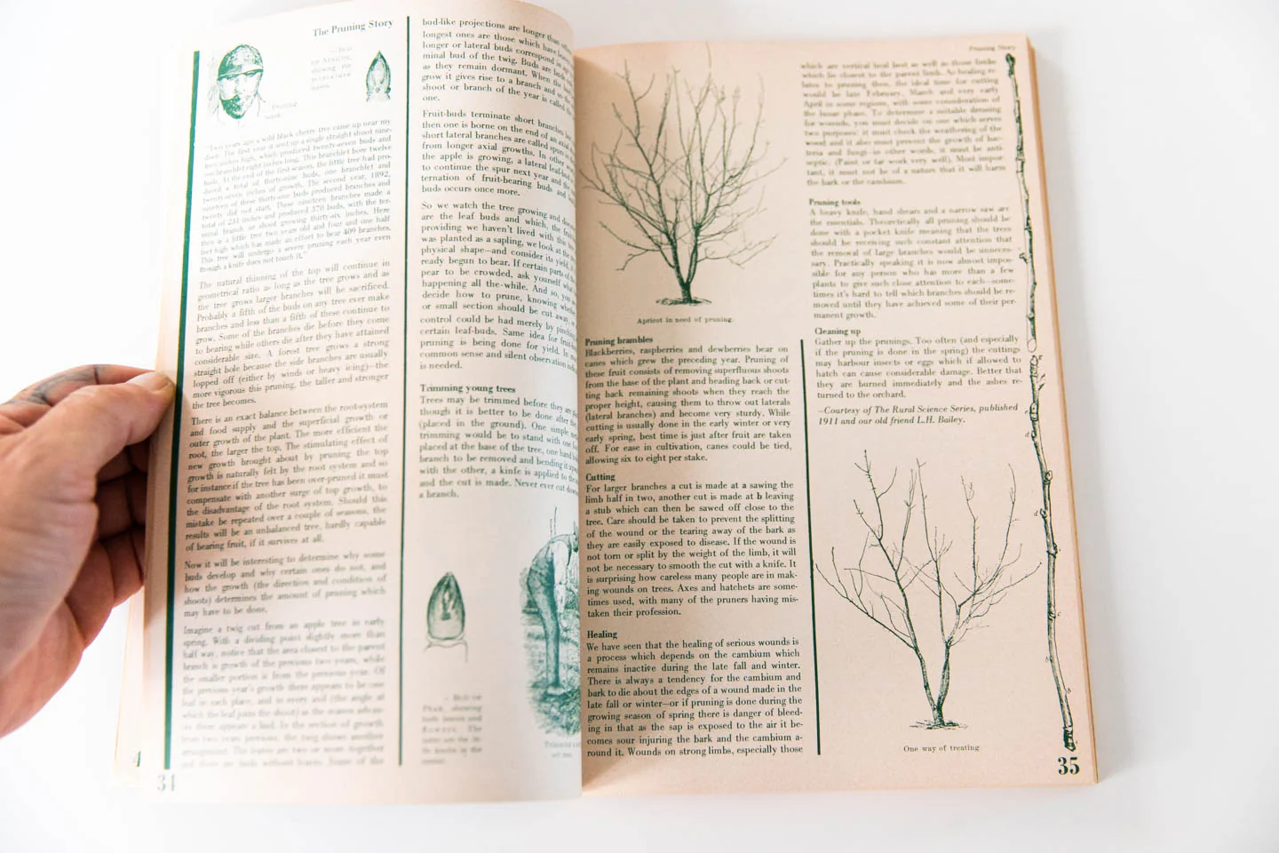 CANADIAN WHOLE EARTH ALMANAC VOL.2 NO. 1 - Image 4