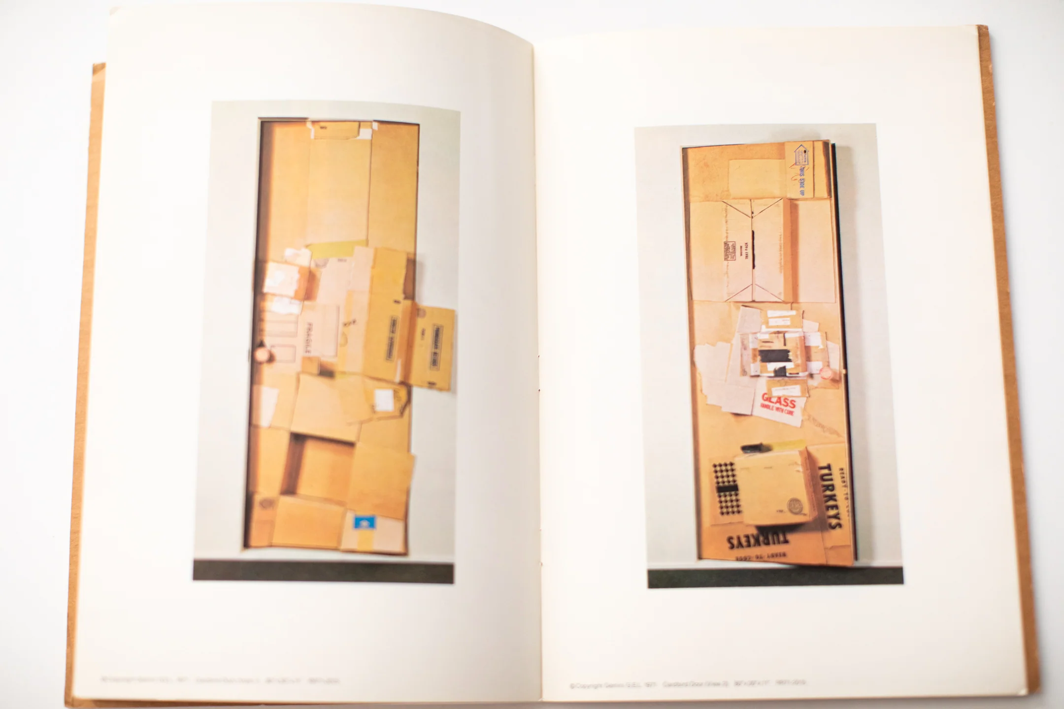 CARDBIRDS - Image 5