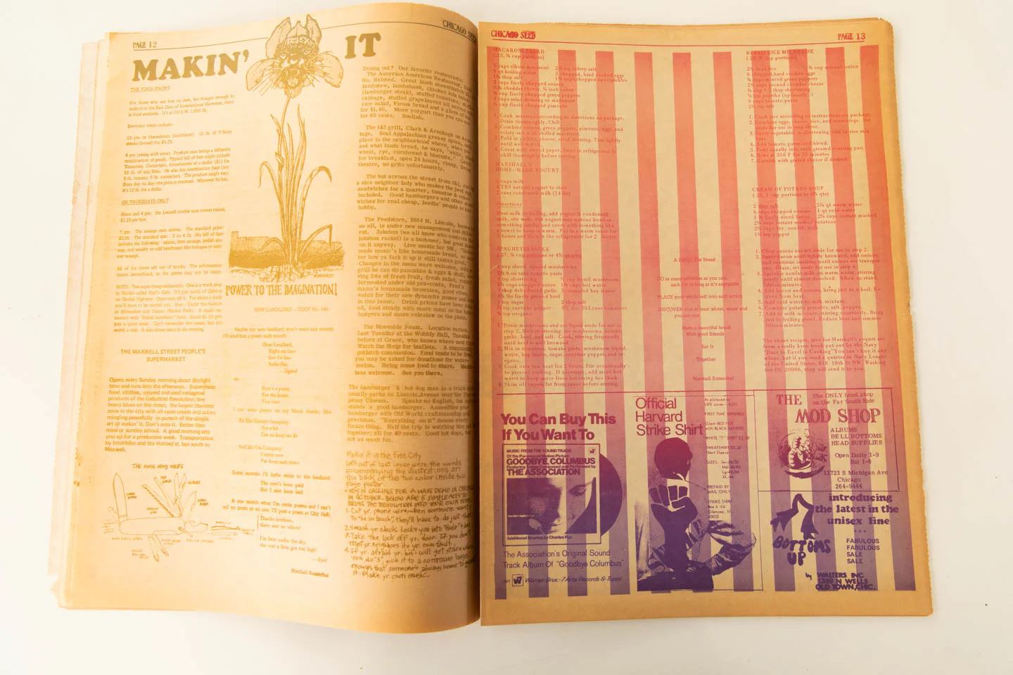 CHICAGO SEED | Vol. 4 No. 4 - Image 7