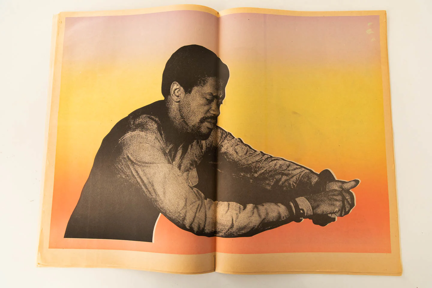 CHICAGO SEED | Vol. 6 No. 3 - Image 7