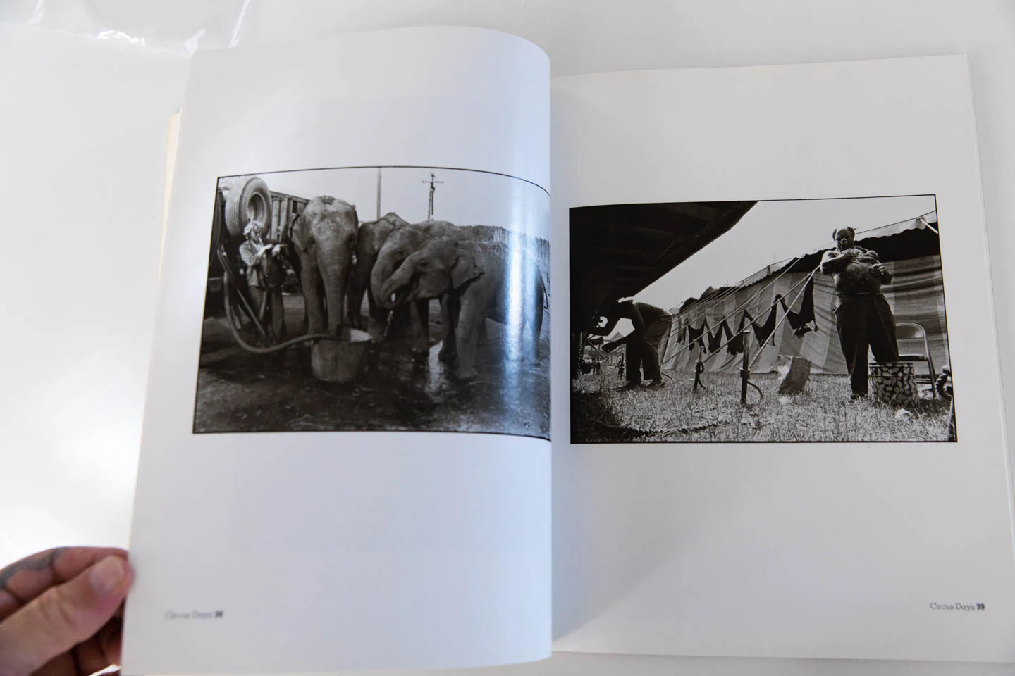 CIRCUS DAYS - Image 4