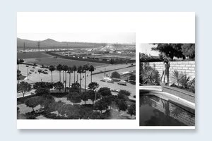CONTEMPORARY SUBURBIUM - Image 3