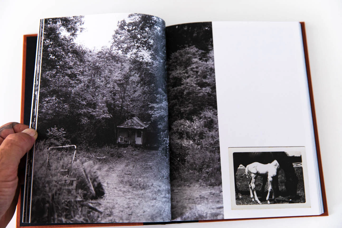 DEVIL'S PROMENADE - Image 3