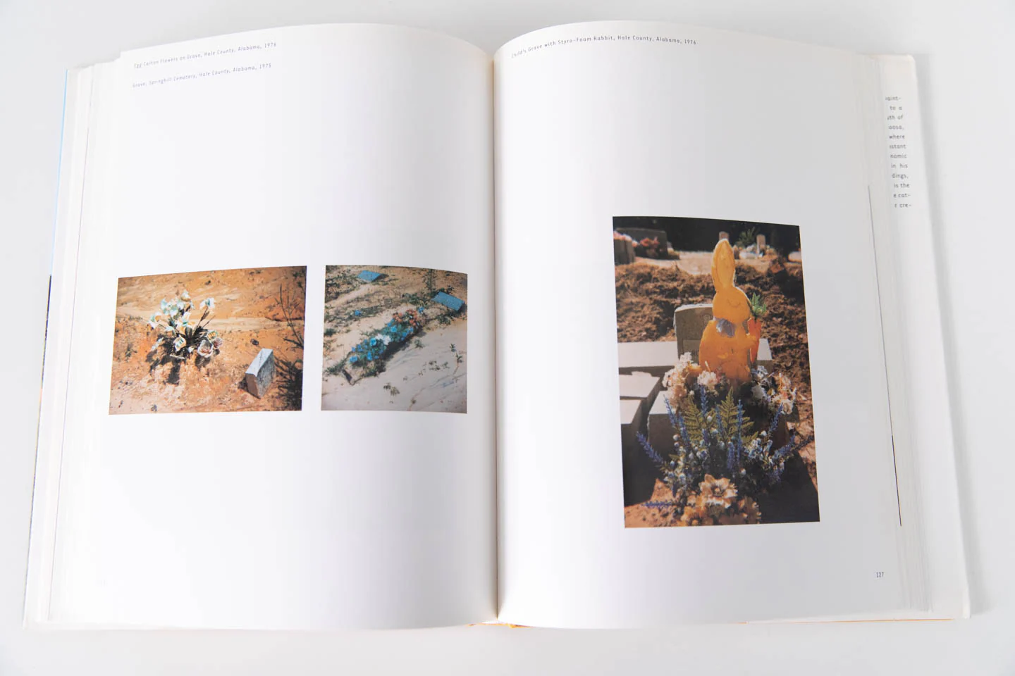 DISAPPEARING PLACES - Image 7