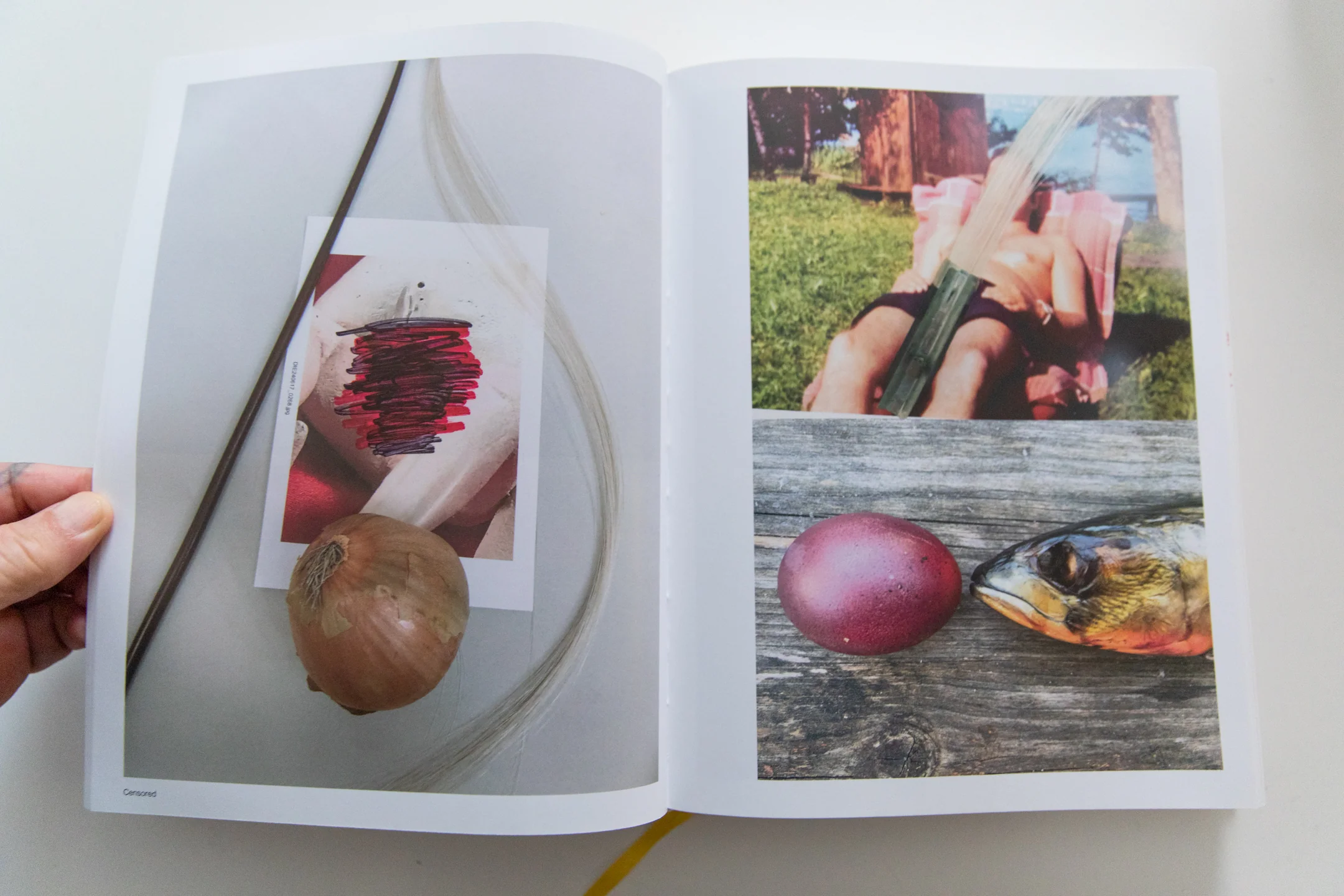 DONKEY MAN AND OTHER STORIES | Editorial Works Volume 1 - Image 5