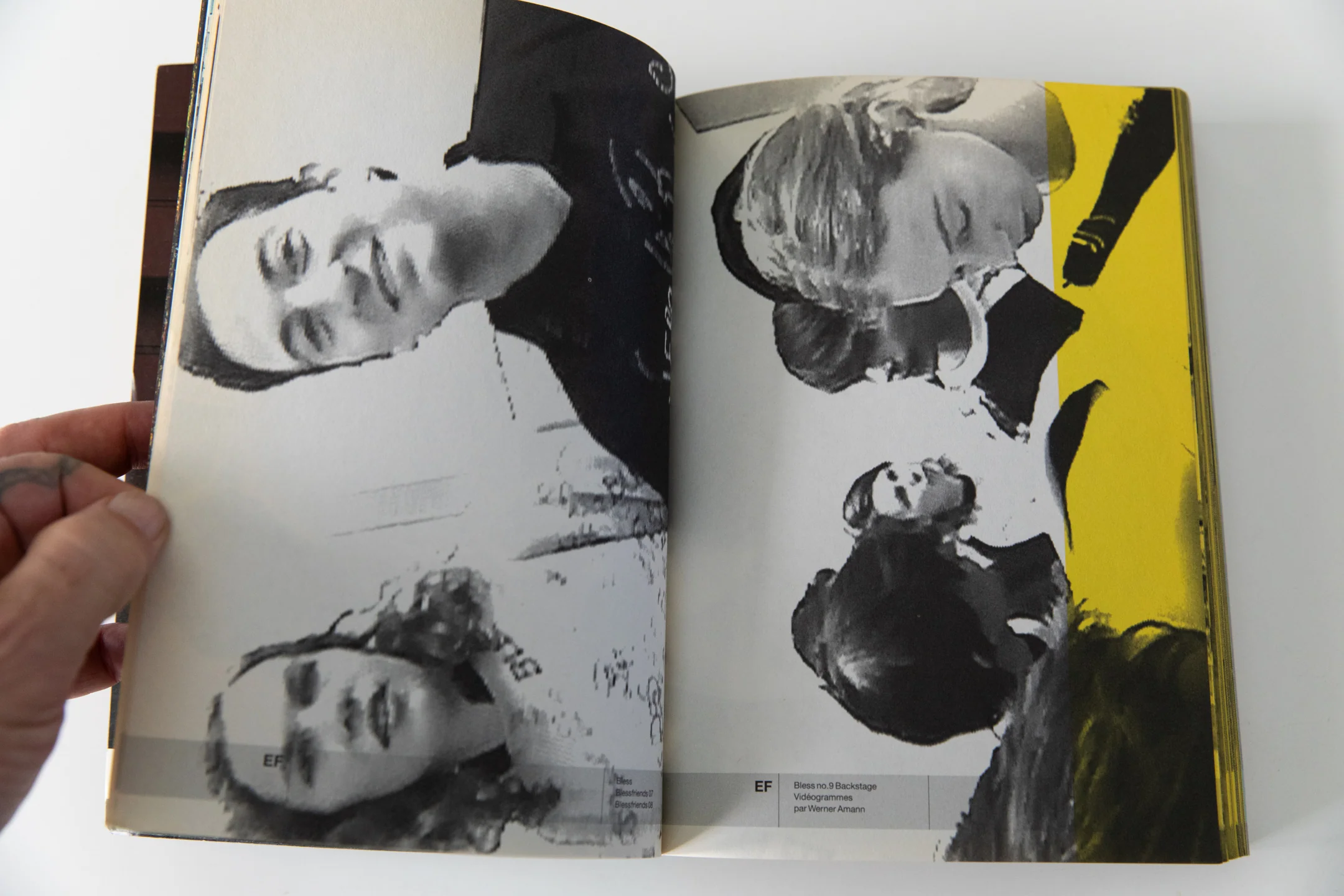ELYSIAN FIELDS - Image 8