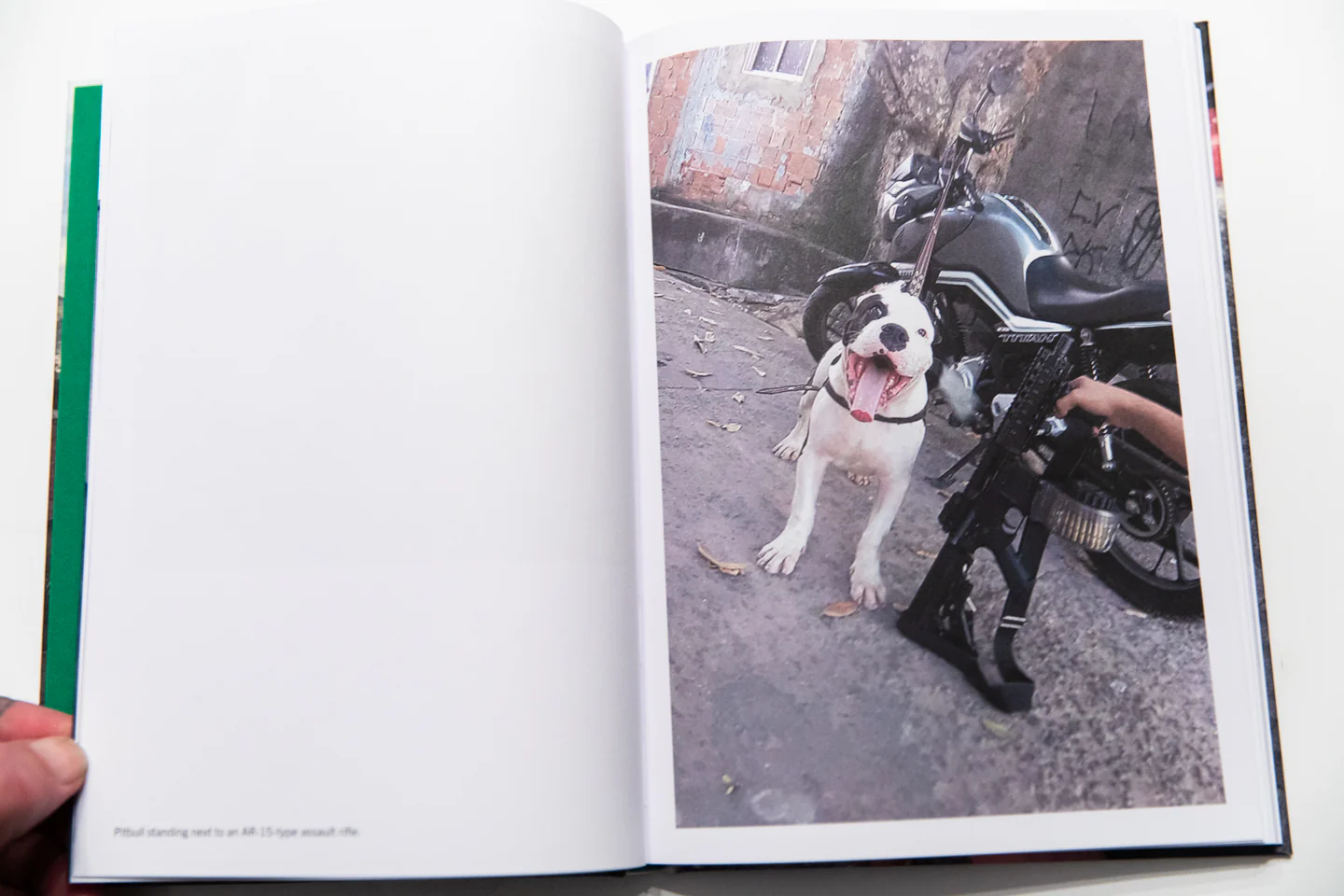 FAVELA NARCO PETS | The Companion Animals of Organized Crime Groups in Rio De Janeiro - Image 7