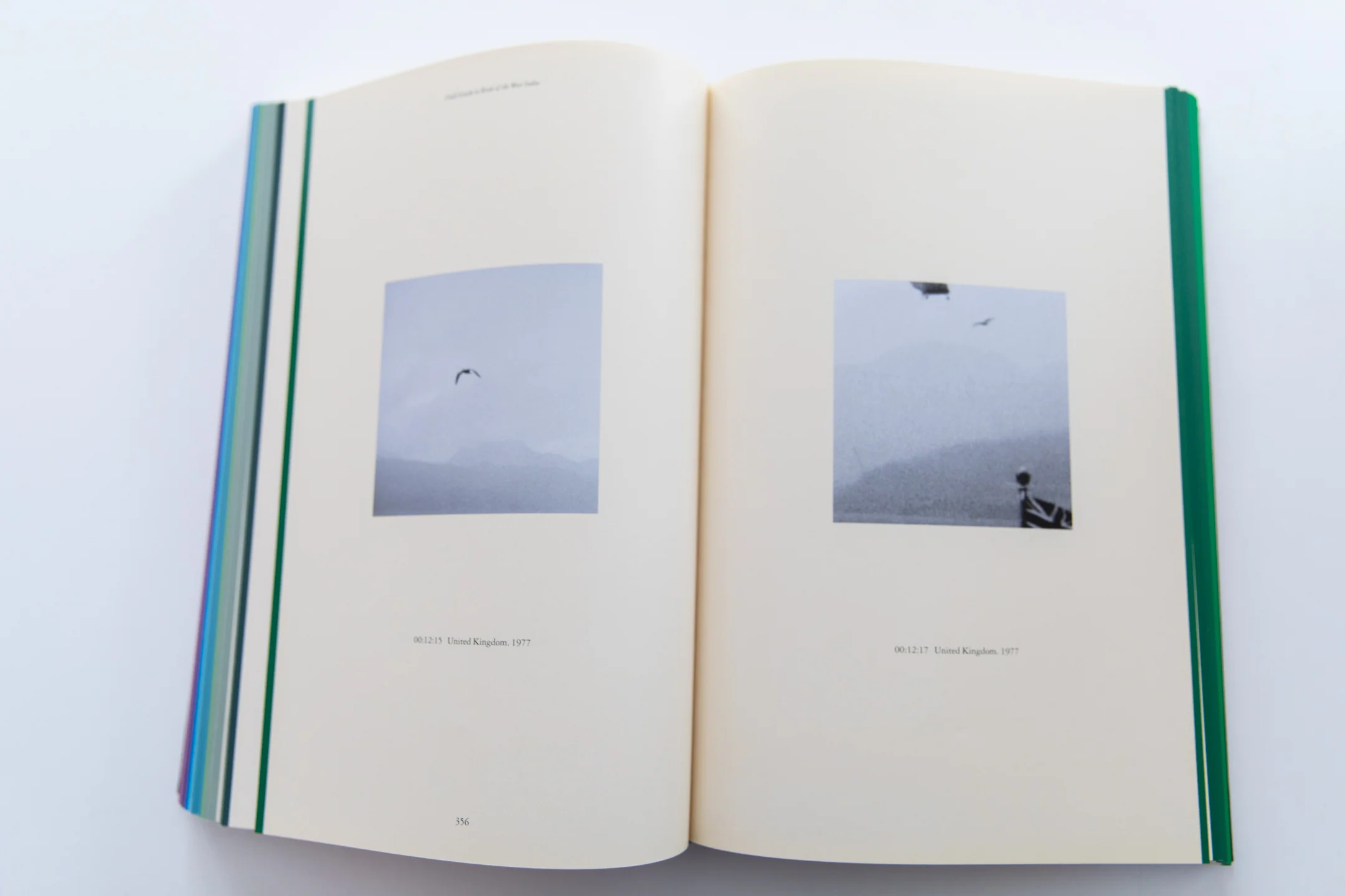 FIELD GUIDE TO BIRDS OF THE WEST INDIES - Image 5
