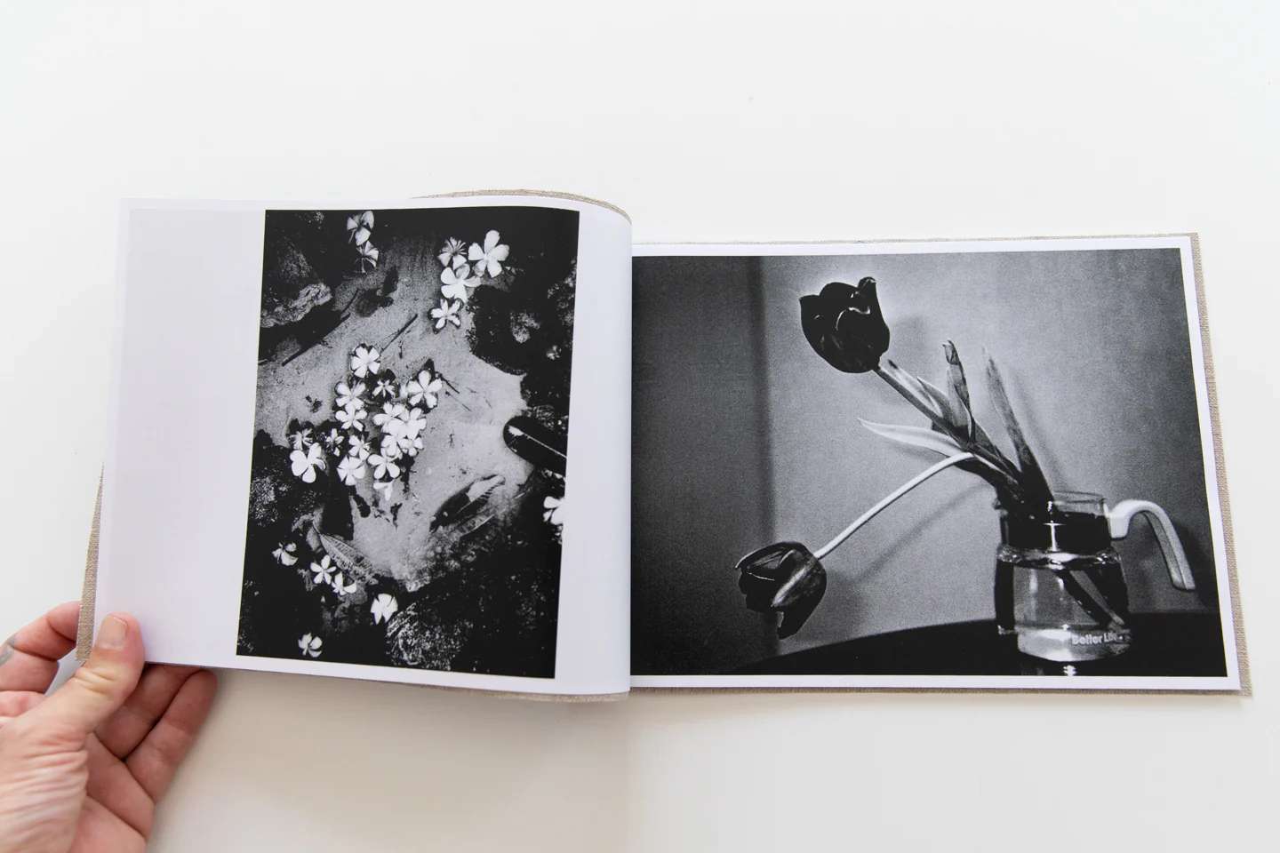 FLOWERS - Image 4