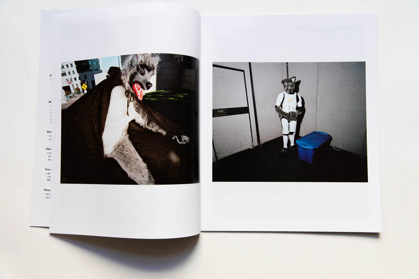 FURRIES | Archive 11 - Image 3