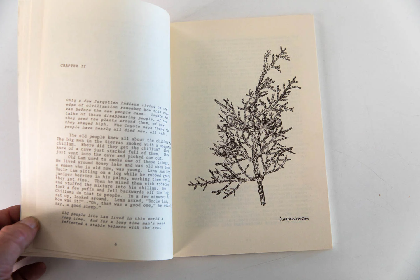GET THE BUZZZON or a New World Immigrant's Guide to Dope, Herbs, Indians and Magic Meeting Places - Image 3