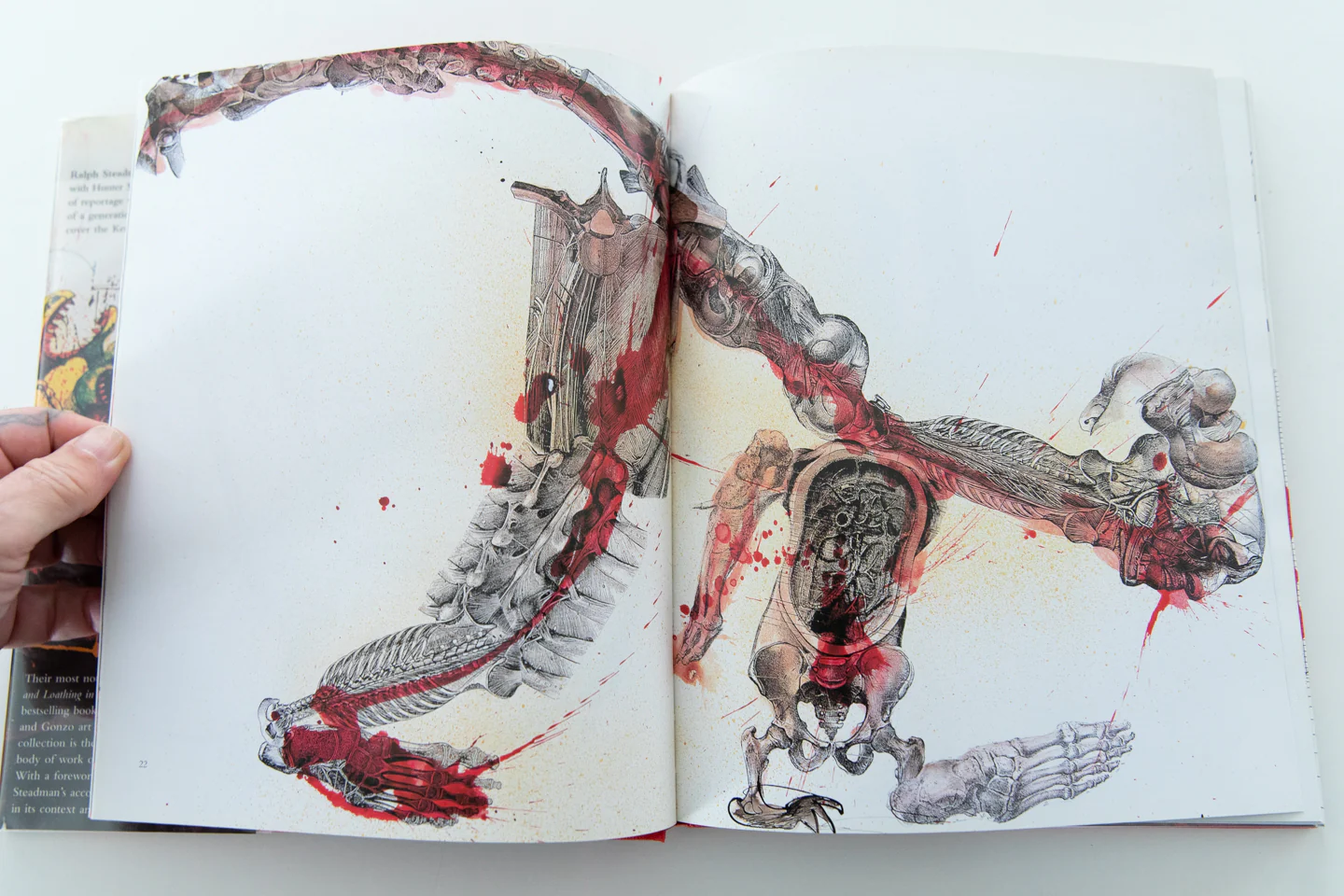 GONZO THE ART - Image 8
