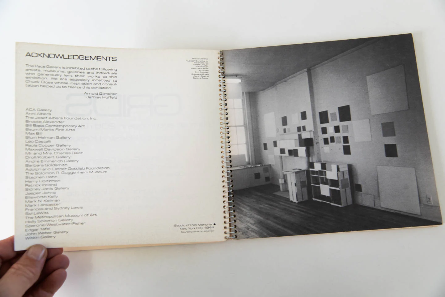 GRIDS | Format and Image In 20th Century Art - Image 3