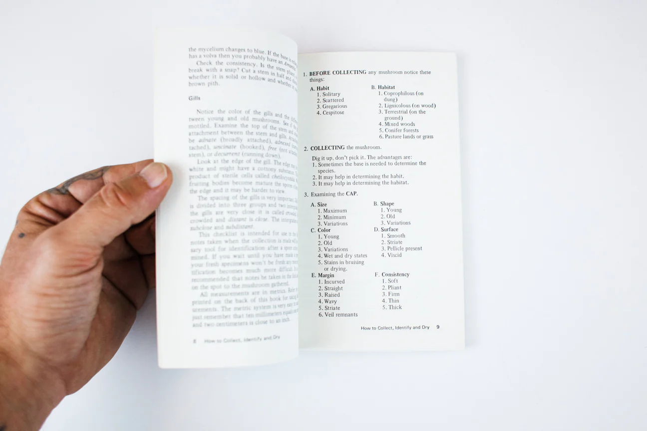 HALLUCINOGENIC AND POISONOUS MUSHROOM FIELD GUIDE - Image 3