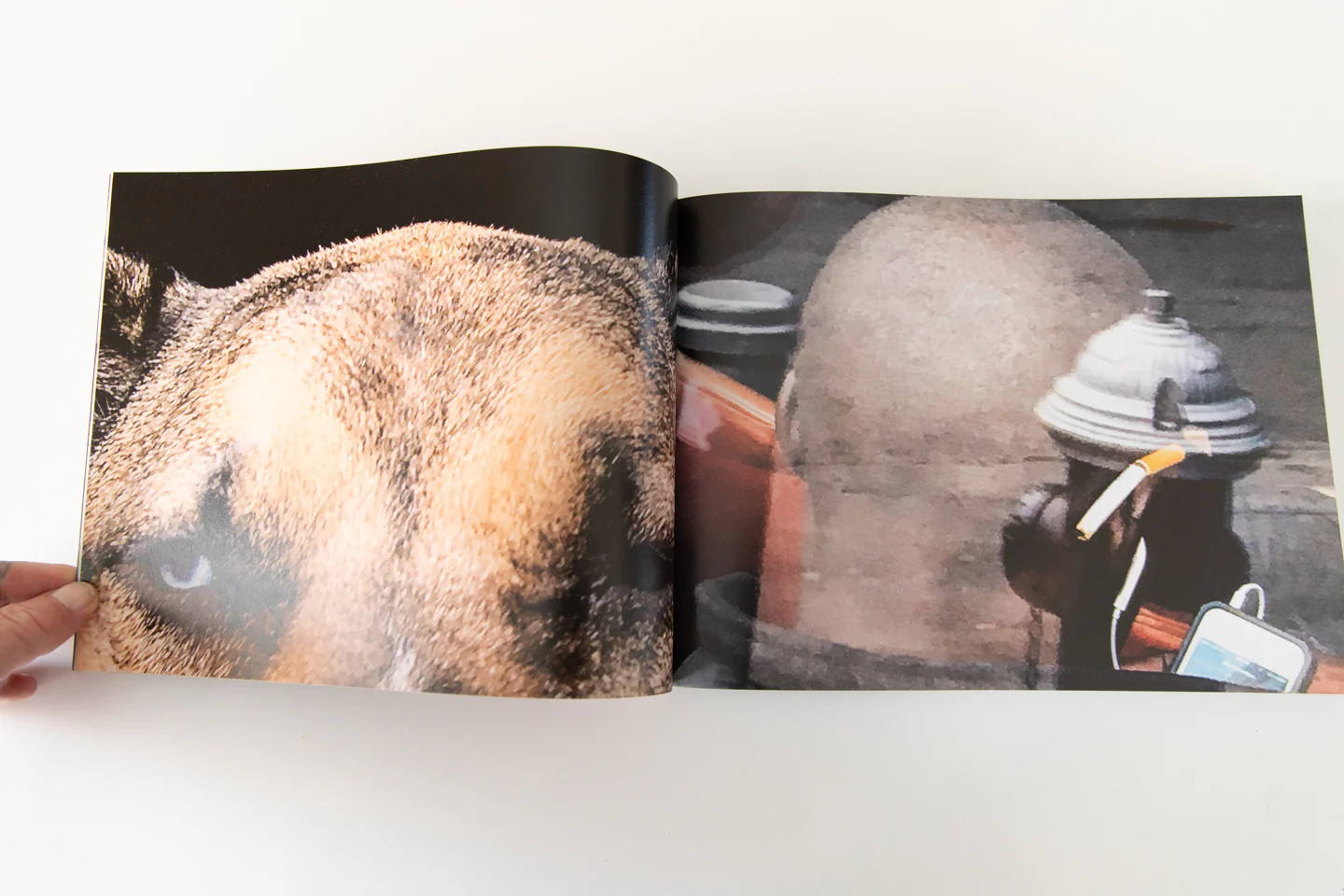 HARDENED - Image 6