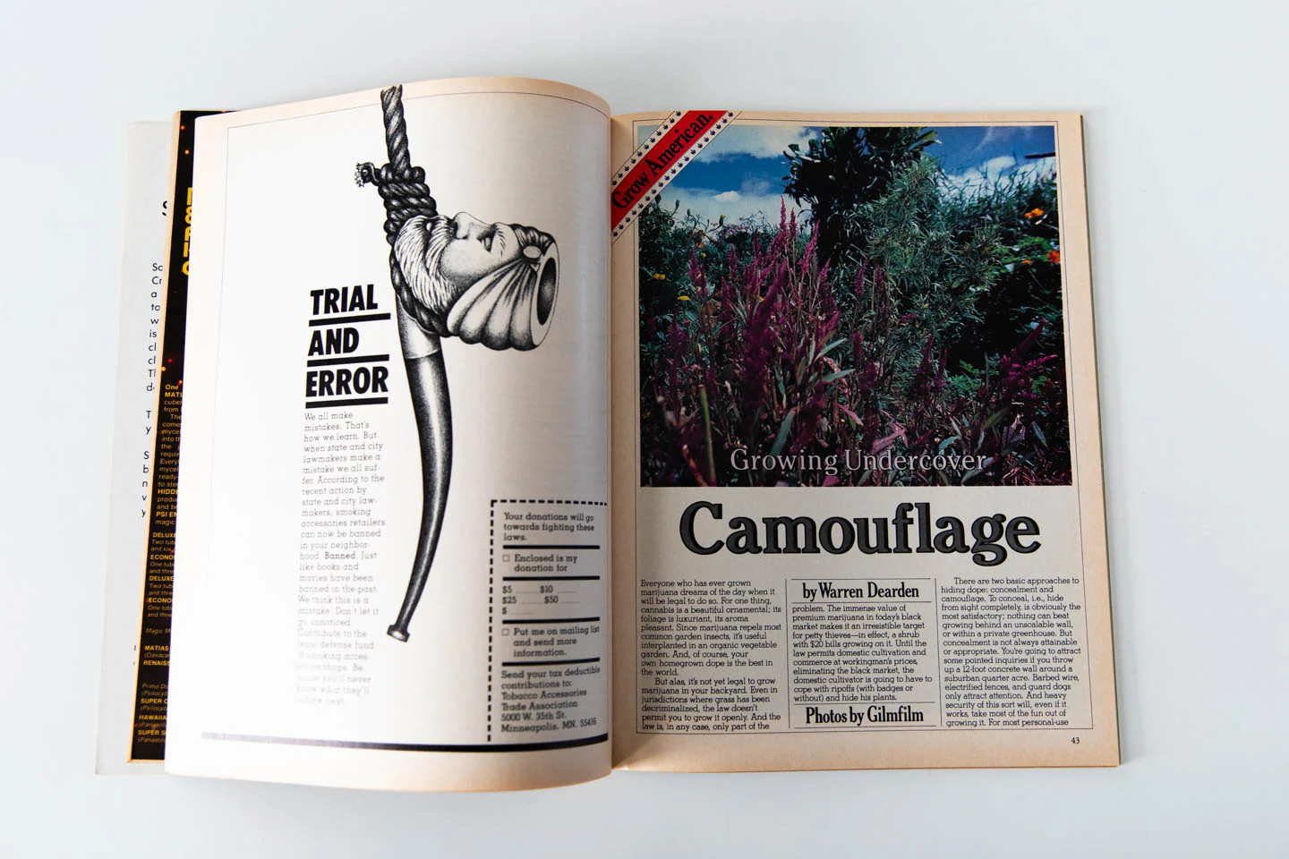 HIGH TIMES | March 1981 - Image 5