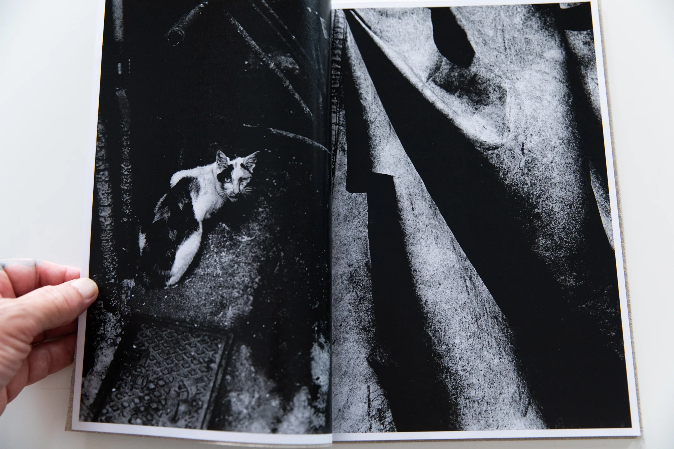 HIROKO - Image 4