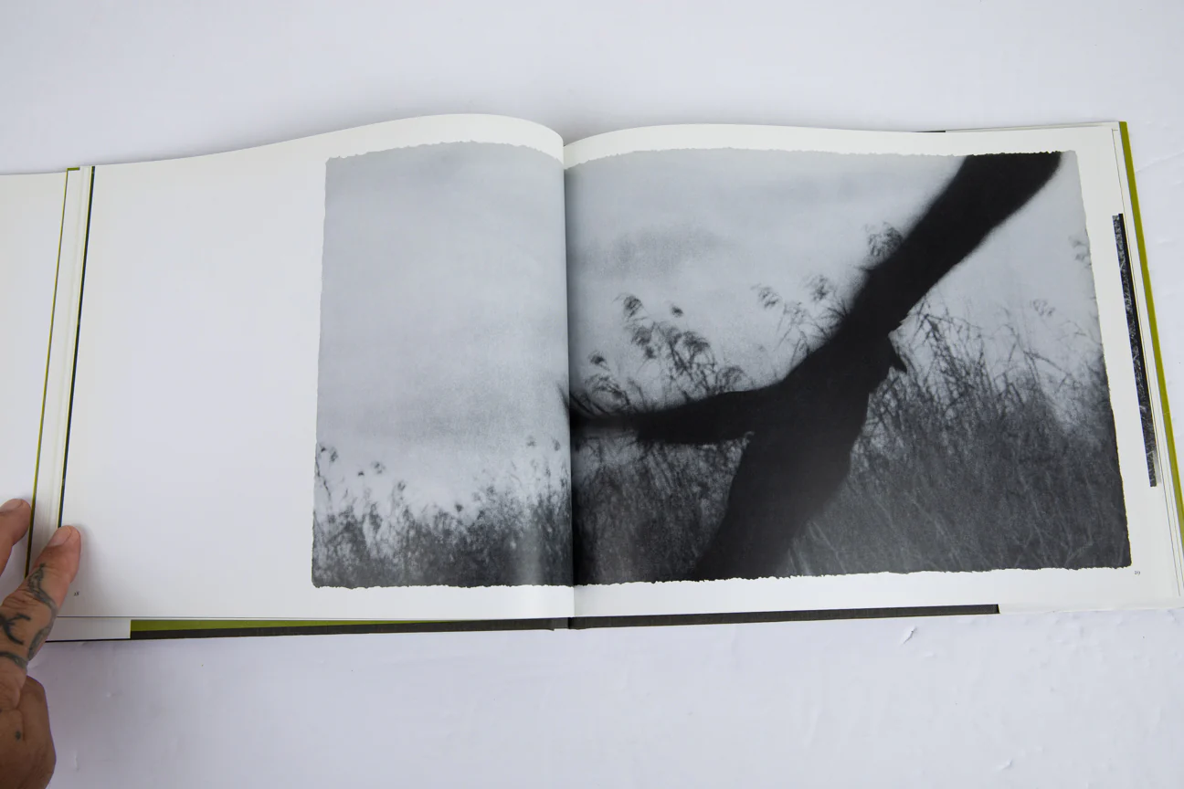 IMAGING EDEN | Photographers Discover the Everglades - Image 3