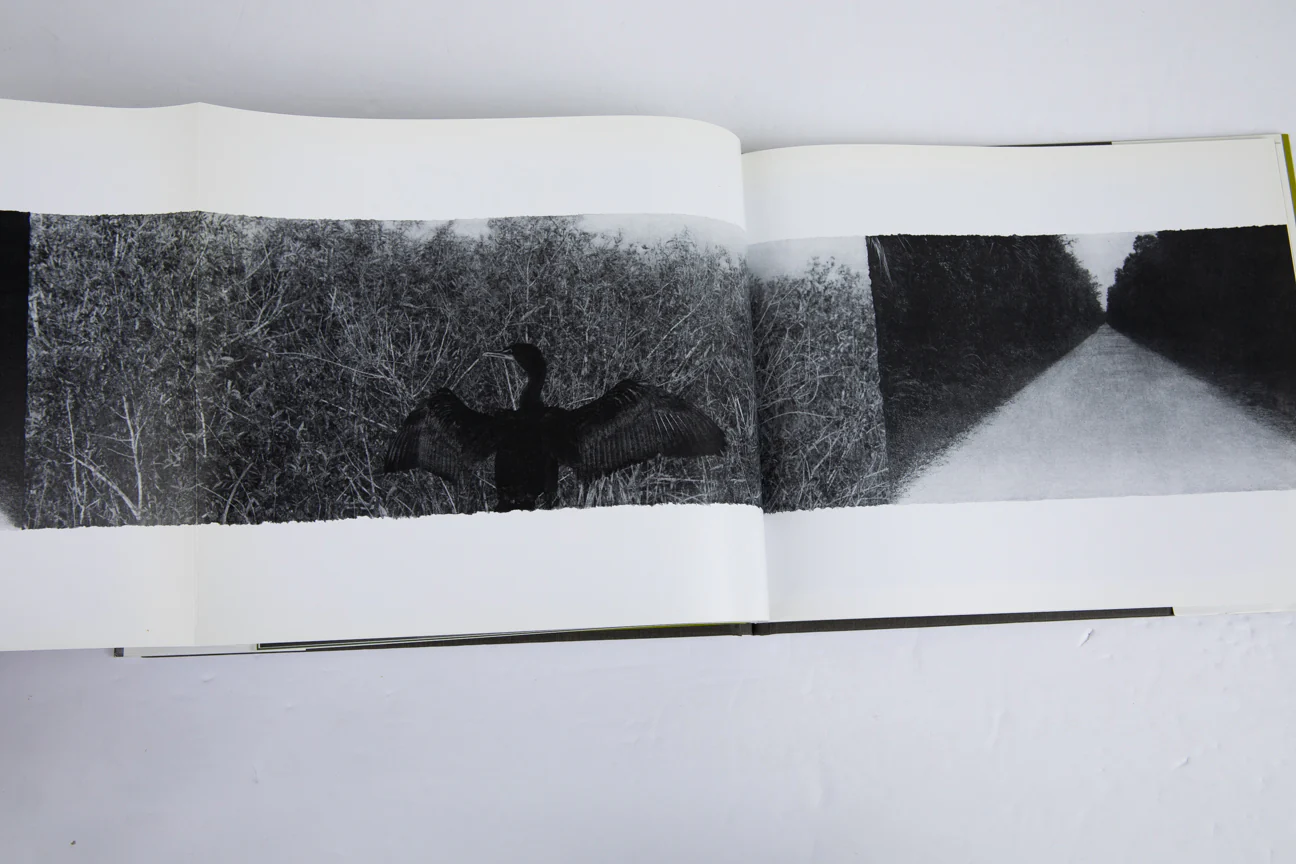 IMAGING EDEN | Photographers Discover the Everglades - Image 4