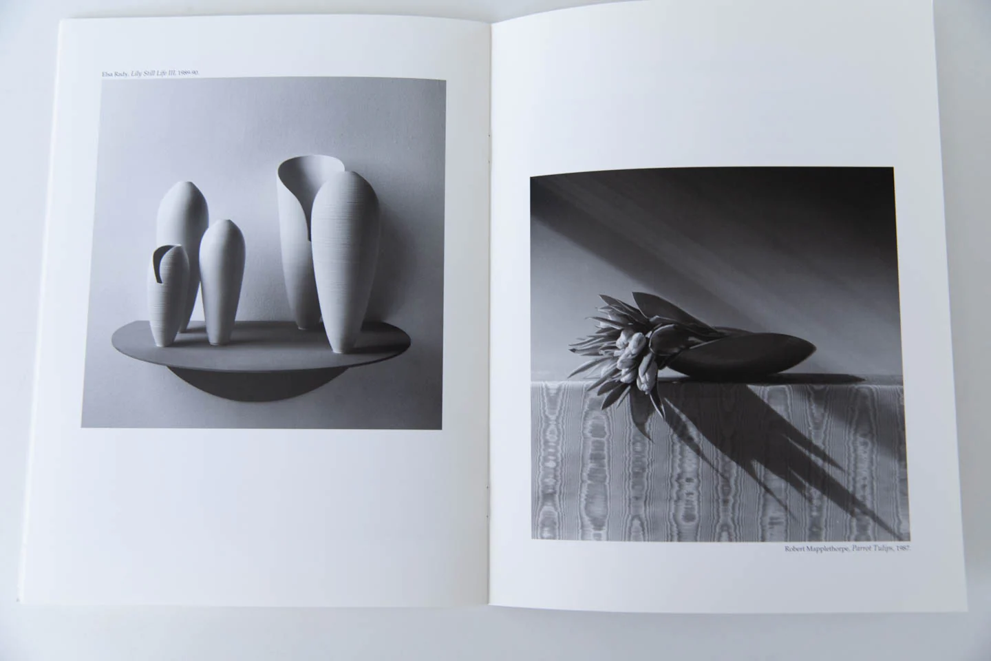 IN DIALOGUE | The Art of Elsa Rady and Robert Mapplethorpe - Image 7