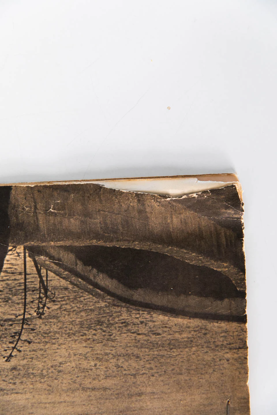 INDIANS OF ALL TRIBES Vol. 1 No. 1 | Alcatraz - Image 8
