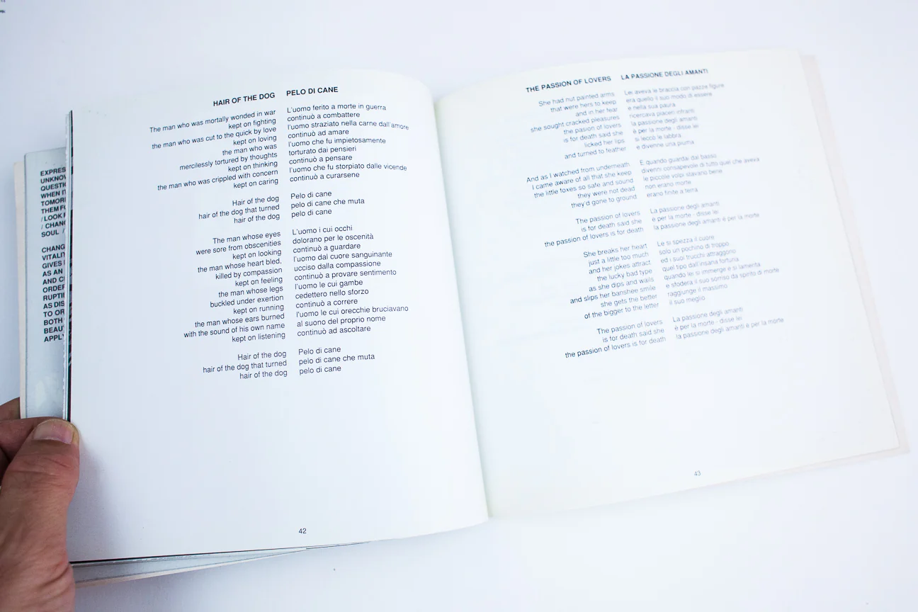 BAUHAUS LYRIC BOOK | Italian and English - Image 8