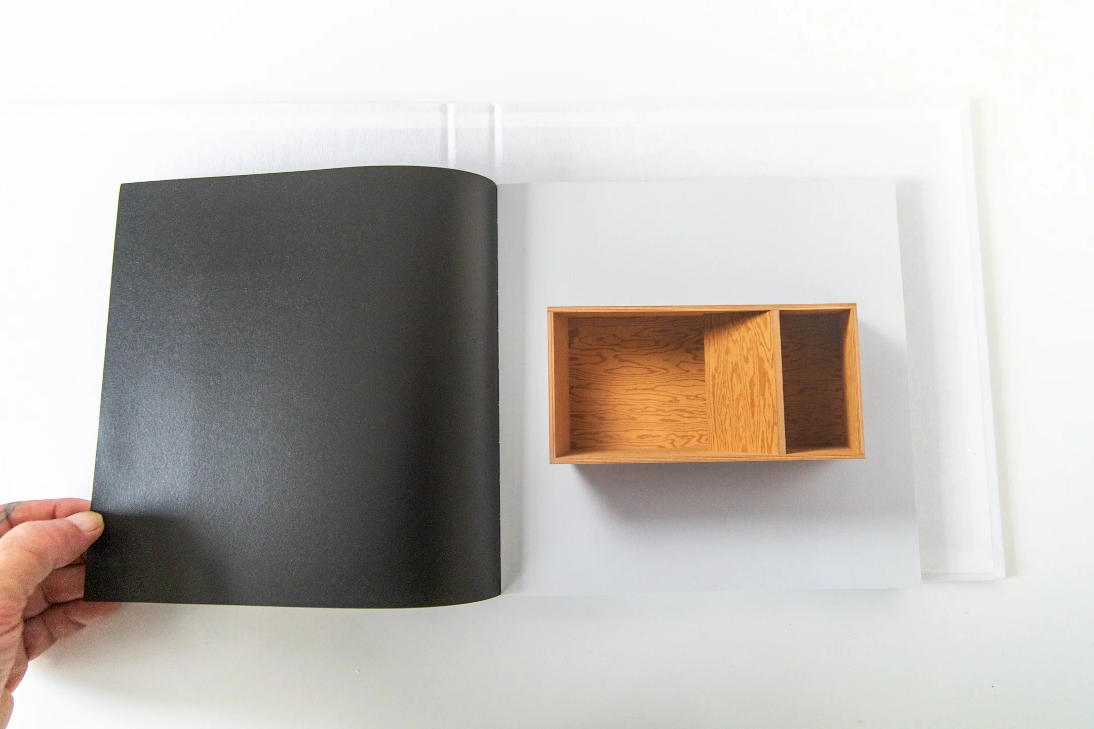 JUDD - Image 5