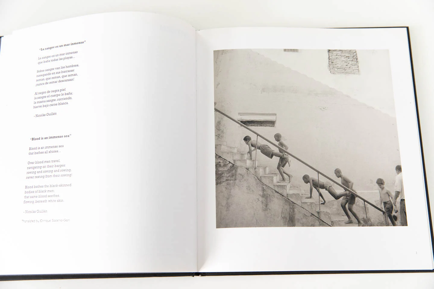 LA LUCHA | THE STRUGGLE - Image 4