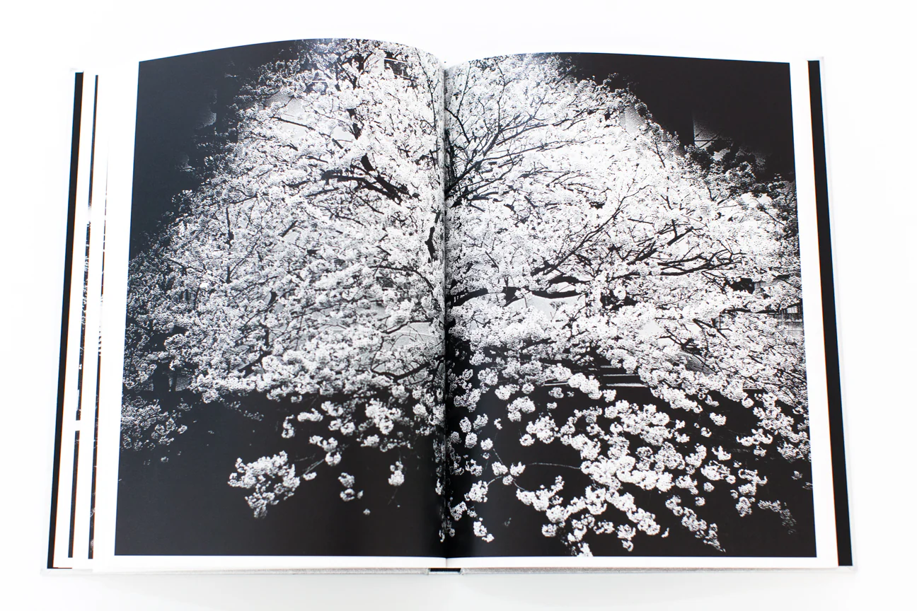 LIGHT AND SHADOW - Image 7