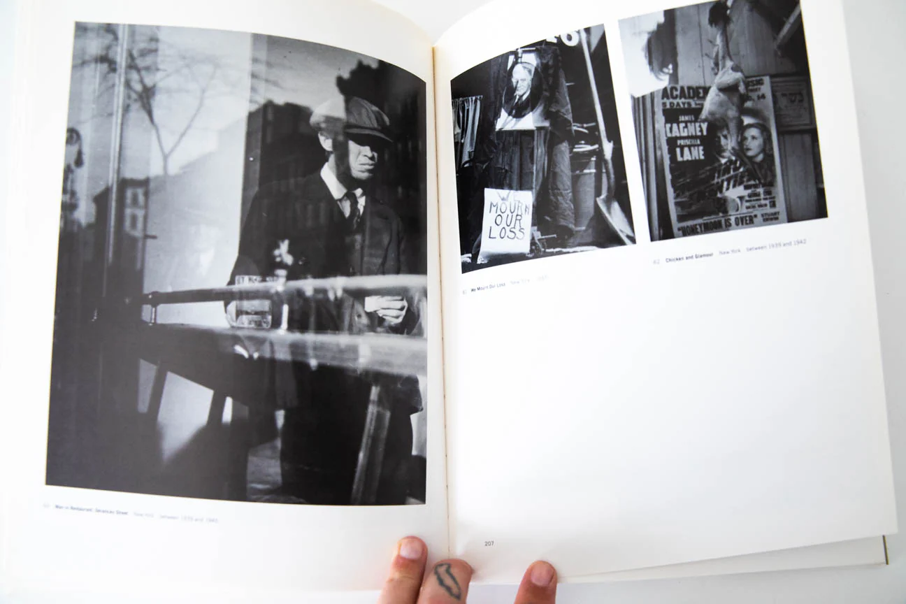 LISETTE MODEL - Image 7