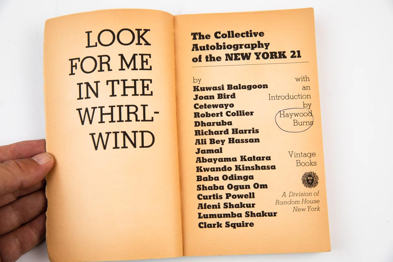 LOOK FOR ME IN THE WHIRLWIND | The Collective Autobiography of the New York 21 - Image 3