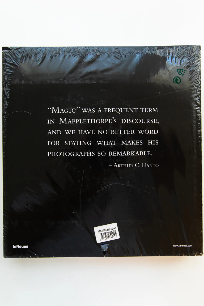 MAPPLETHORPE - Image 2