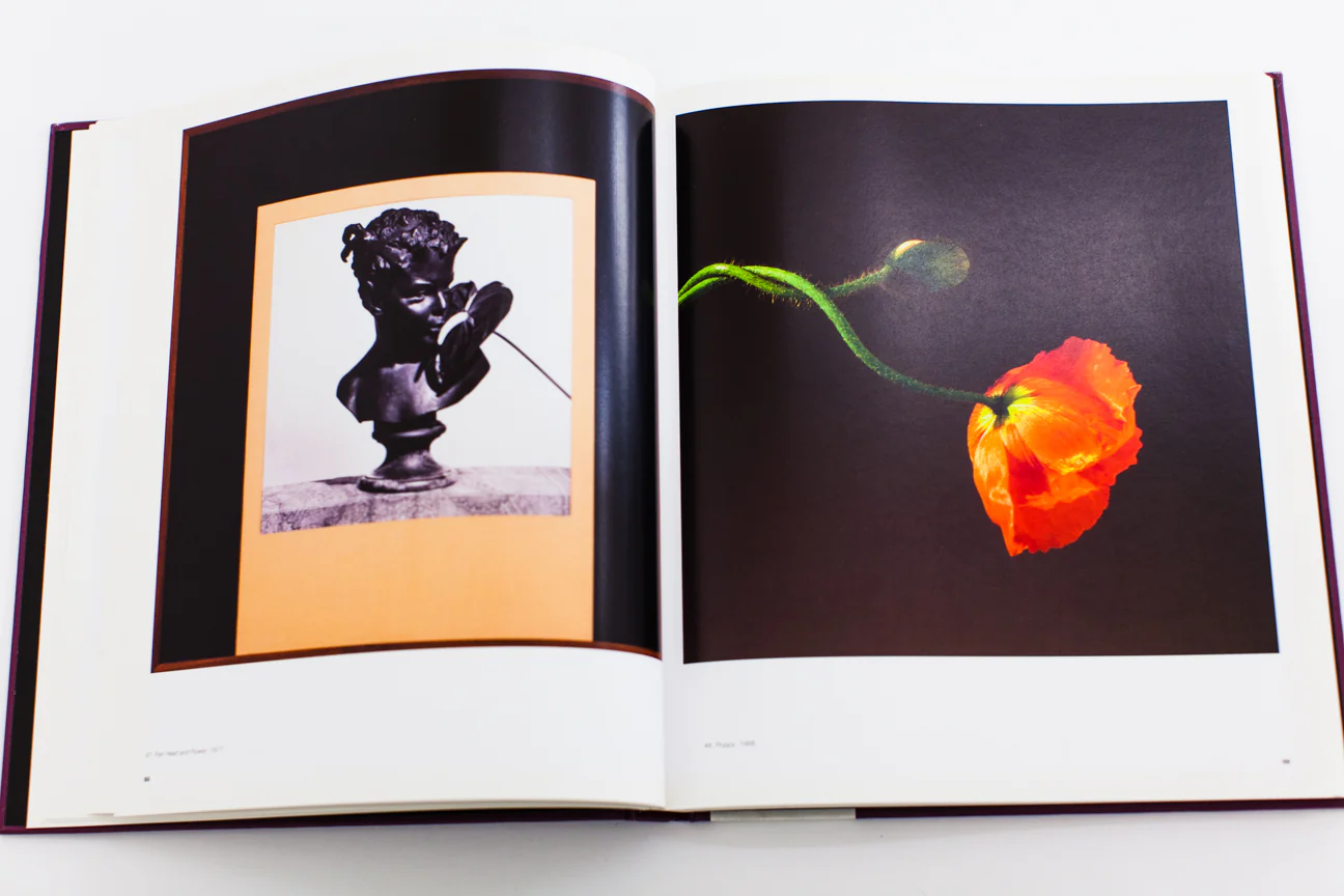 MAPPLETHORPE | THE NYMPH PHOTOGRAPHY - Image 4