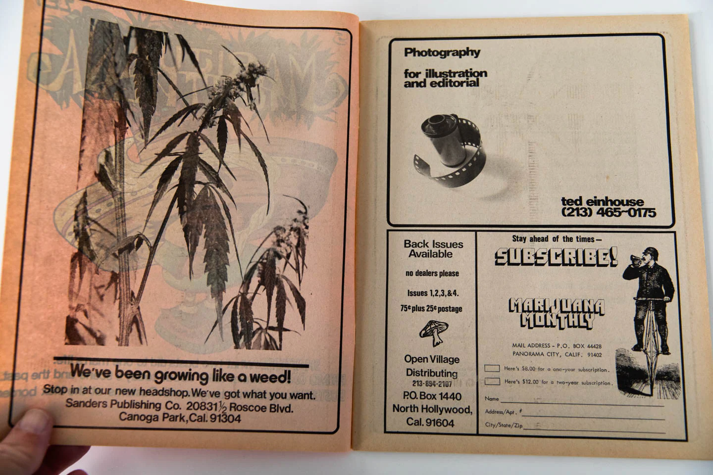MARIJUANA MONTHLY | Vol. 1 No. 5 - Image 2