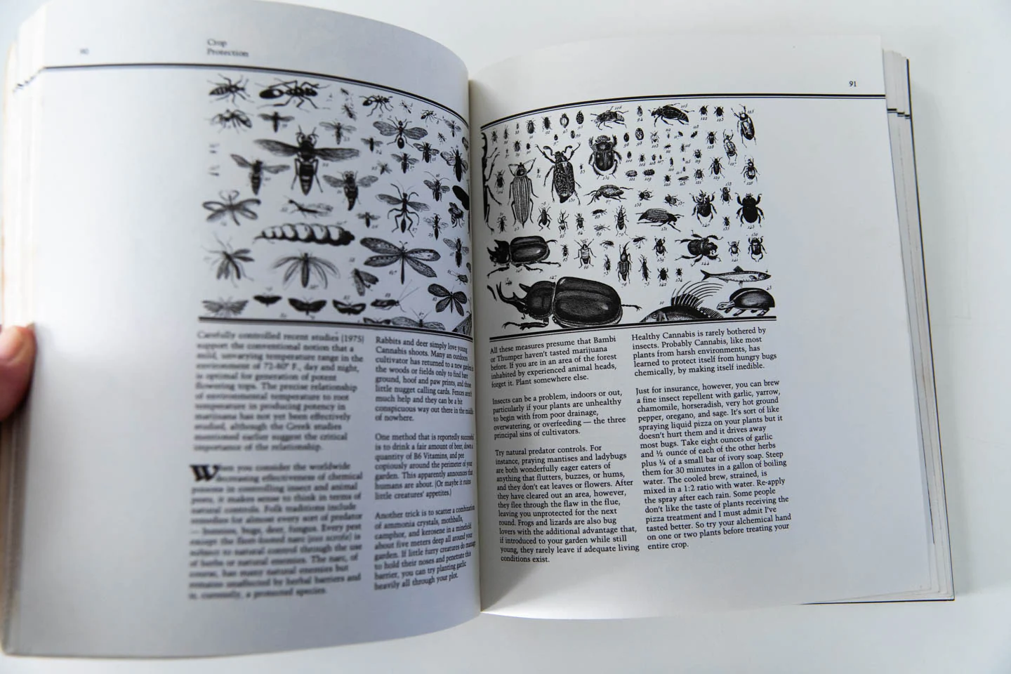 MARIJUANA | The Cultivator's Handbook - Image 4