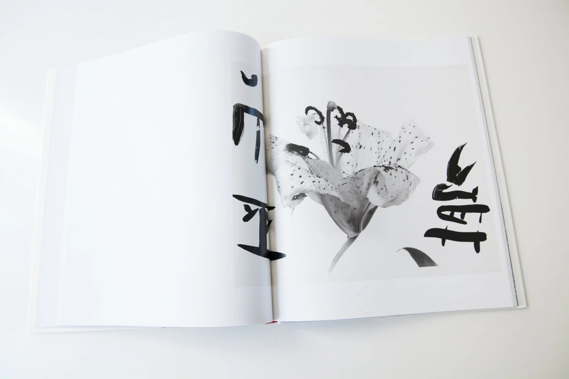 Marvelous Tales Of Black Ink - Image 3