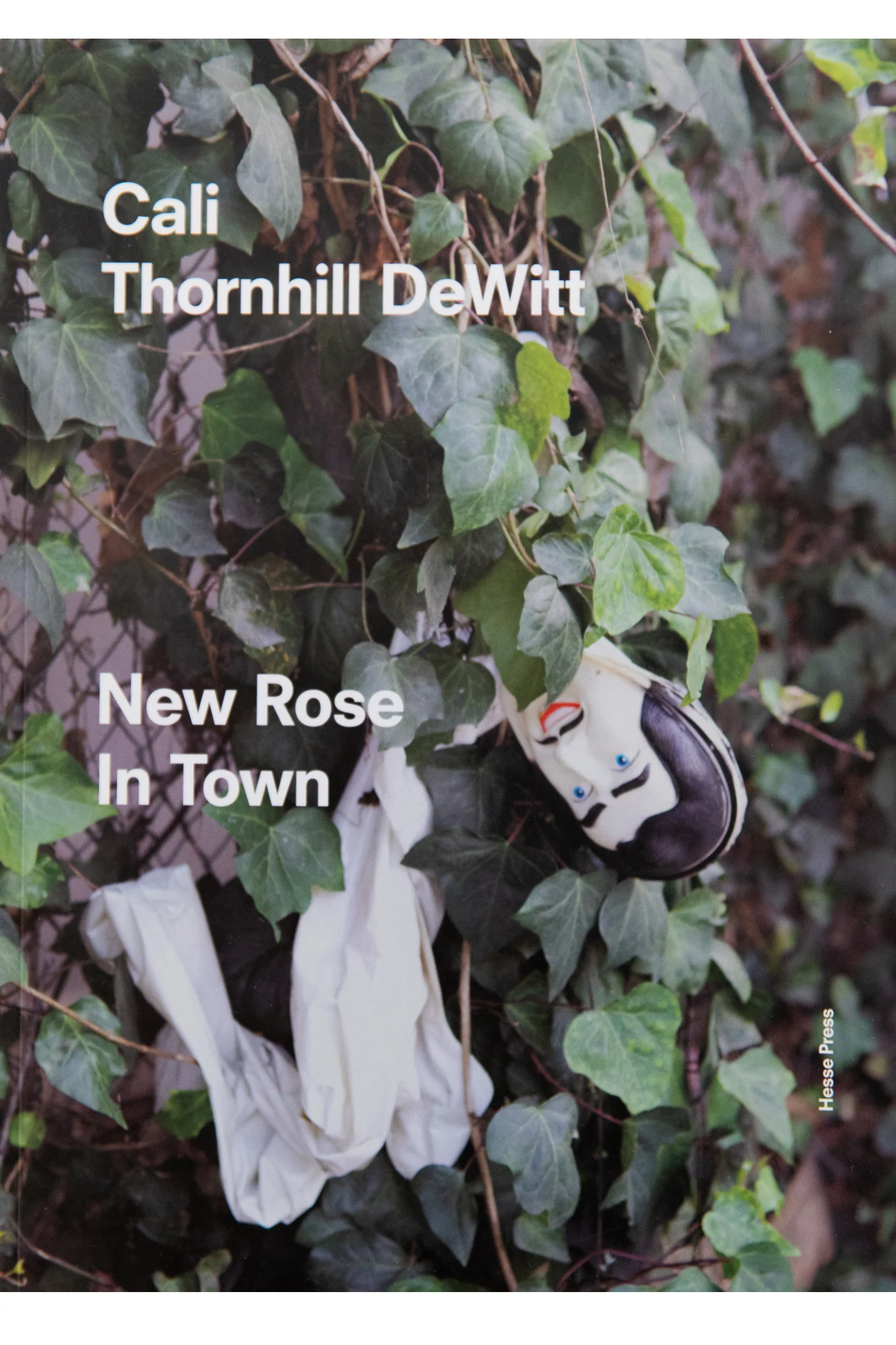 NEW ROSE IN TOWN