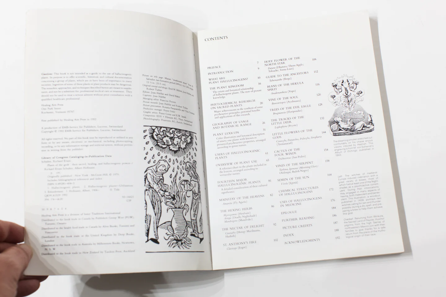 PLANTS OF THE GODS - Image 3