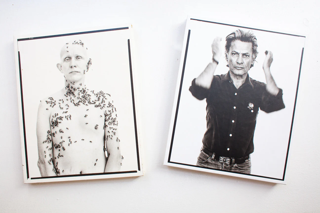 Portraits - Image 2