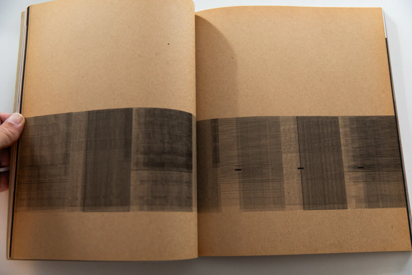 PROCESS ; A TOMATO PROJECT - Image 5