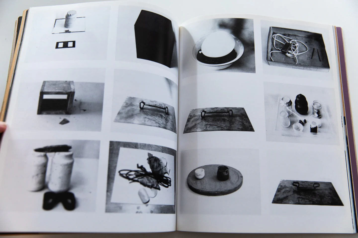 PROCESS ; A TOMATO PROJECT - Image 9
