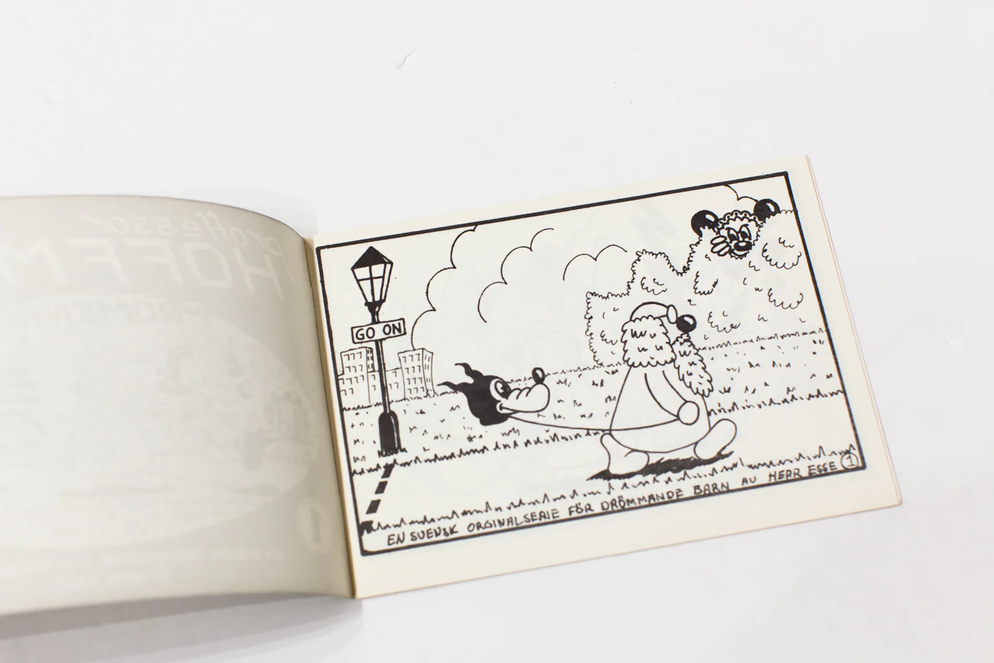 PROFESSOR HOFFMAN'S PROMENADER - Image 2
